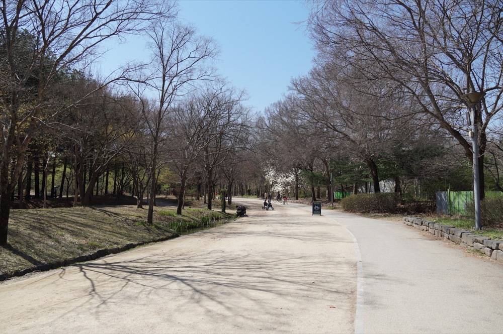 서울숲 산책로